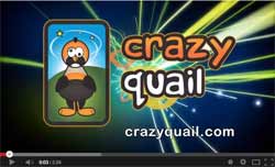 crazy-quail-video_250